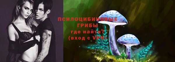 прущие крисы Алексеевка