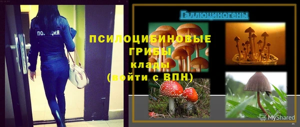 спиды Абинск