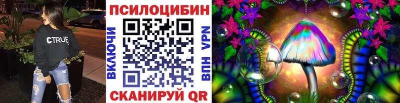 hydra ССЫЛКА  Россошь  Псилоцибиновые грибы GOLDEN TEACHER  купить наркотики цена 