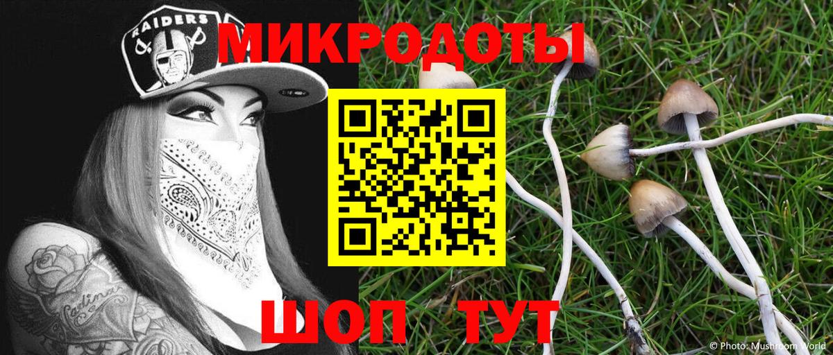 Псилоцибиновые грибы Magic Shrooms Россошь
